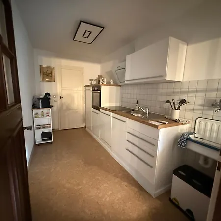 Zum Leoparden Im Herzen Von - Ueber 100qm Apartment Erfurt